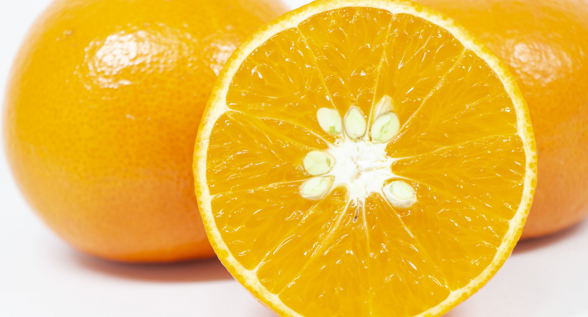 Unparalleled Tastiness of Amakusa Citrus in Amakusa その2