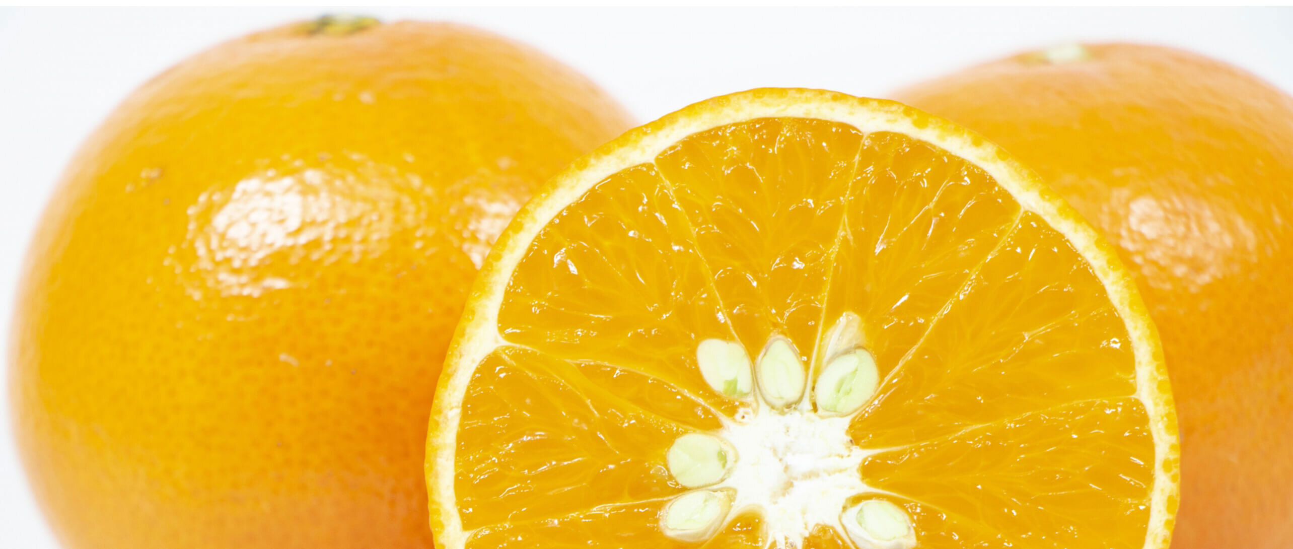 Unparalleled Tastiness of Amakusa Citrus in Amakusa