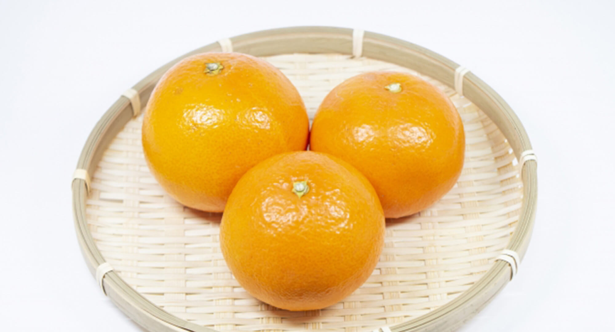 아마쿠사에서 ‘아마쿠사’, 미식의 절정! その1