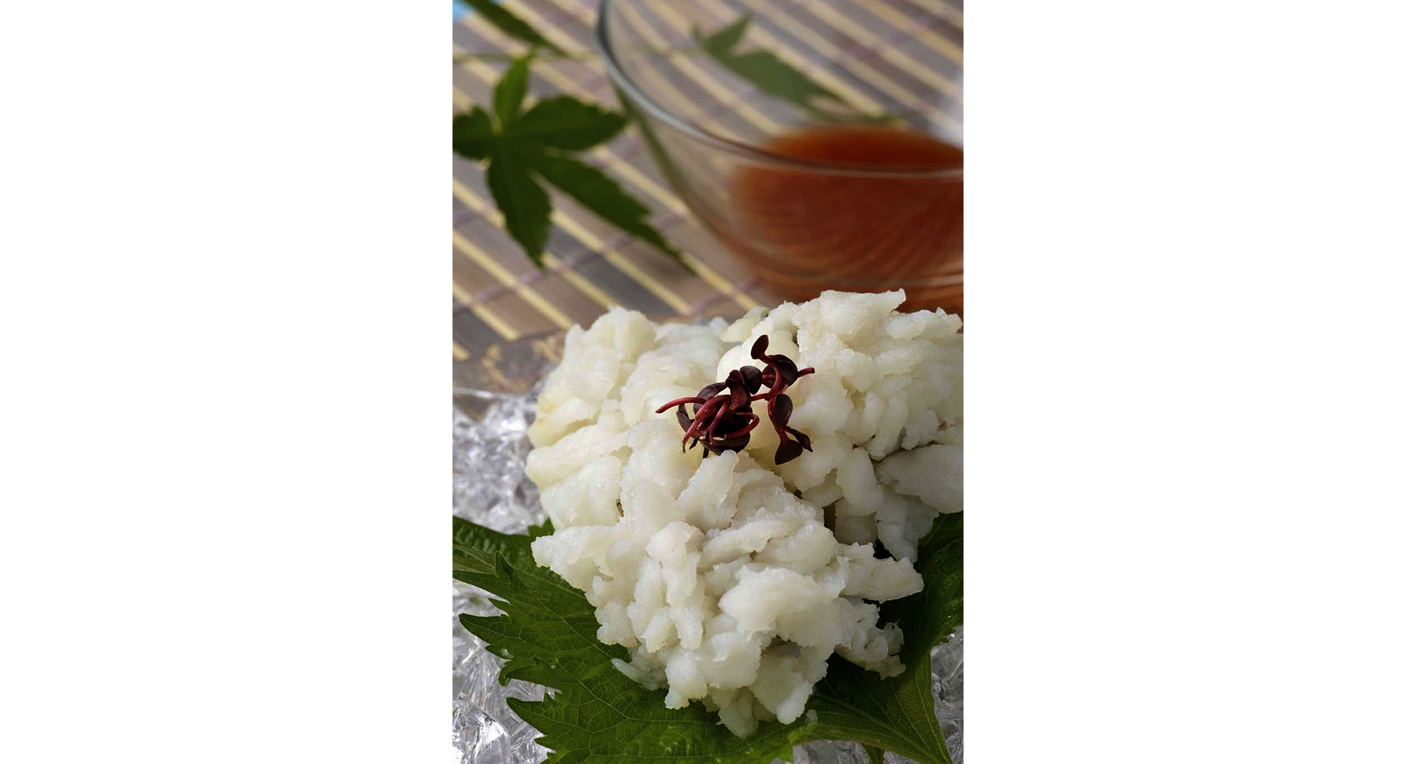 黄金海鰻的秘密，在這片海域緩緩綻放！ 2